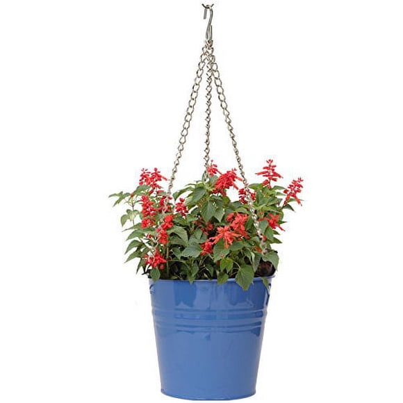 Houston International 6151E B 9-Inch Steel Hanging Planter, Blue