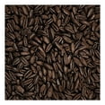 thumbnail image 5 of Home Brew Ohio Chocolate Wheat Grain 5lb, 5 of 6