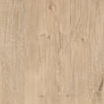 thumbnail image 4 of Evelyn&Zoe Sawyer Rectangular TV Stand for TV's up to 75", White Oak, 4 of 8