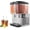 Double Tanks, variant on 18Lx1 Commercial Beverage Dispenser, 1 Tank Iced Tea Drink Machine, 150W Juice Dispenser Stainless Steel Design, Fast Cooling, Easy to Clean, Perfect for Restaurants, Hotels, and Parties, 115V