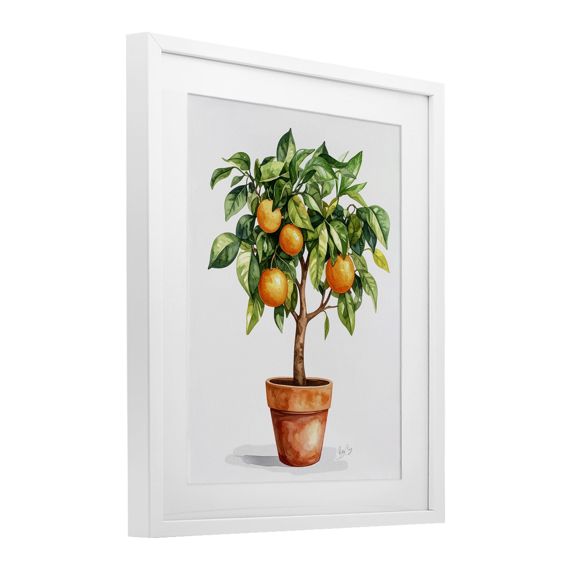 Stupell Industries Potted Orange Tree White Framed Print Under Glass, design by Shelly Craig