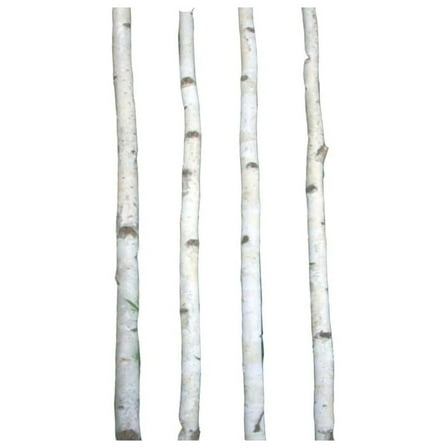 Four Thin White Birch Poles 8 ft