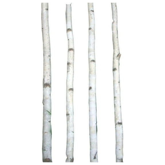 Four Thin White Birch Poles 8 ft