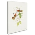 thumbnail image 2 of Trademark Fine Art 'Colorful Hummingbirds II' Canvas Art by Katie Pertiet, 2 of 3