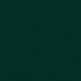 thumbnail image 2 of R&E Paint Supply Compatible with Honda BG33P, Paradise Blue Green Pearl Automotive Paint, 2 of 4