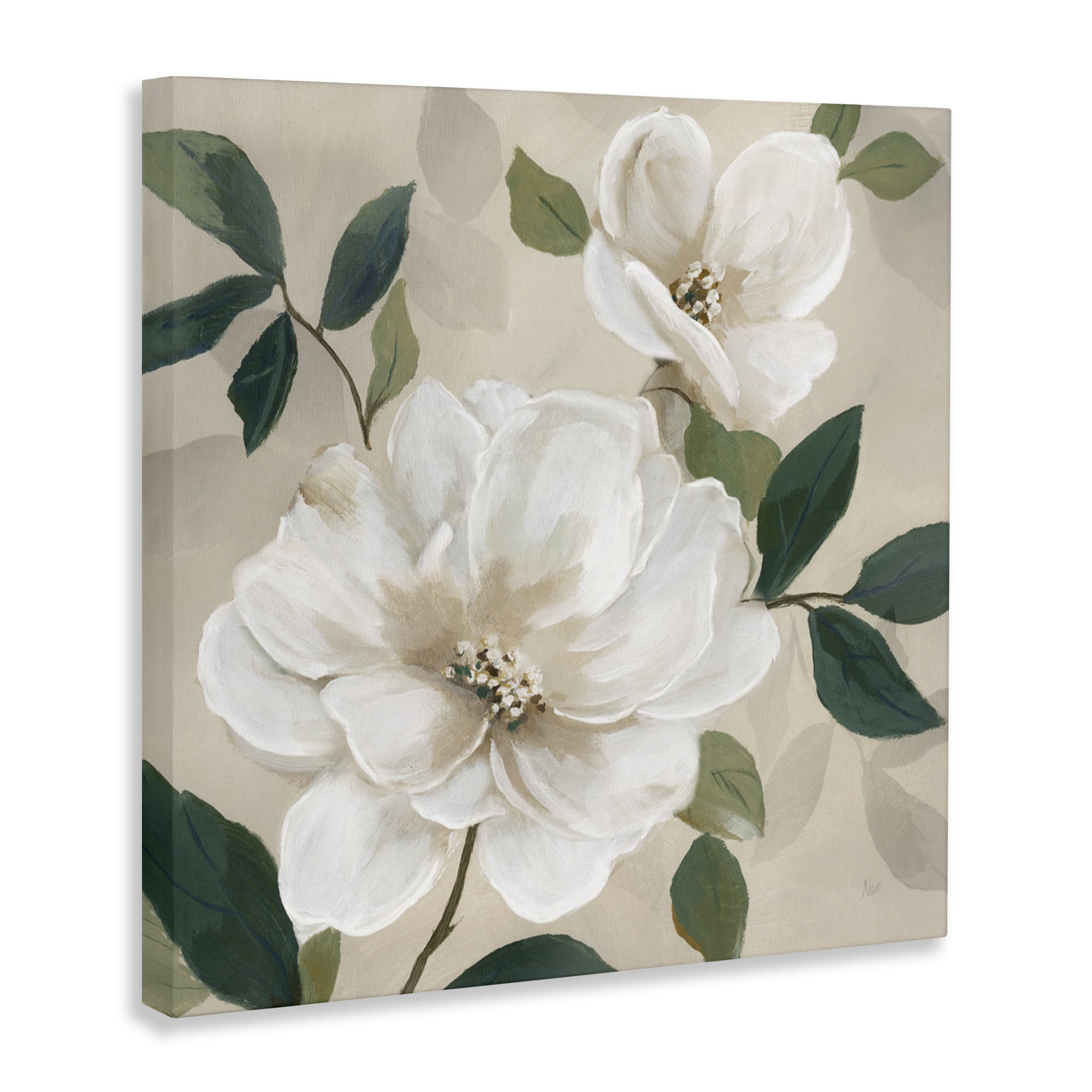 Stupell Industries Serene White Magnolia Study Canvas Wall Art, design by Nan