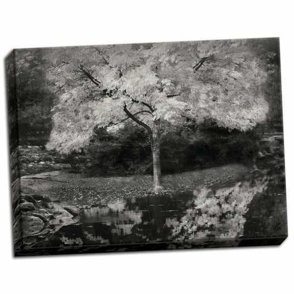 Gango Home Decor Autumn Reflections III B&W by Vitaly Geyman (Ready to Hang); One 24x18in Hand-Stretched Canvas