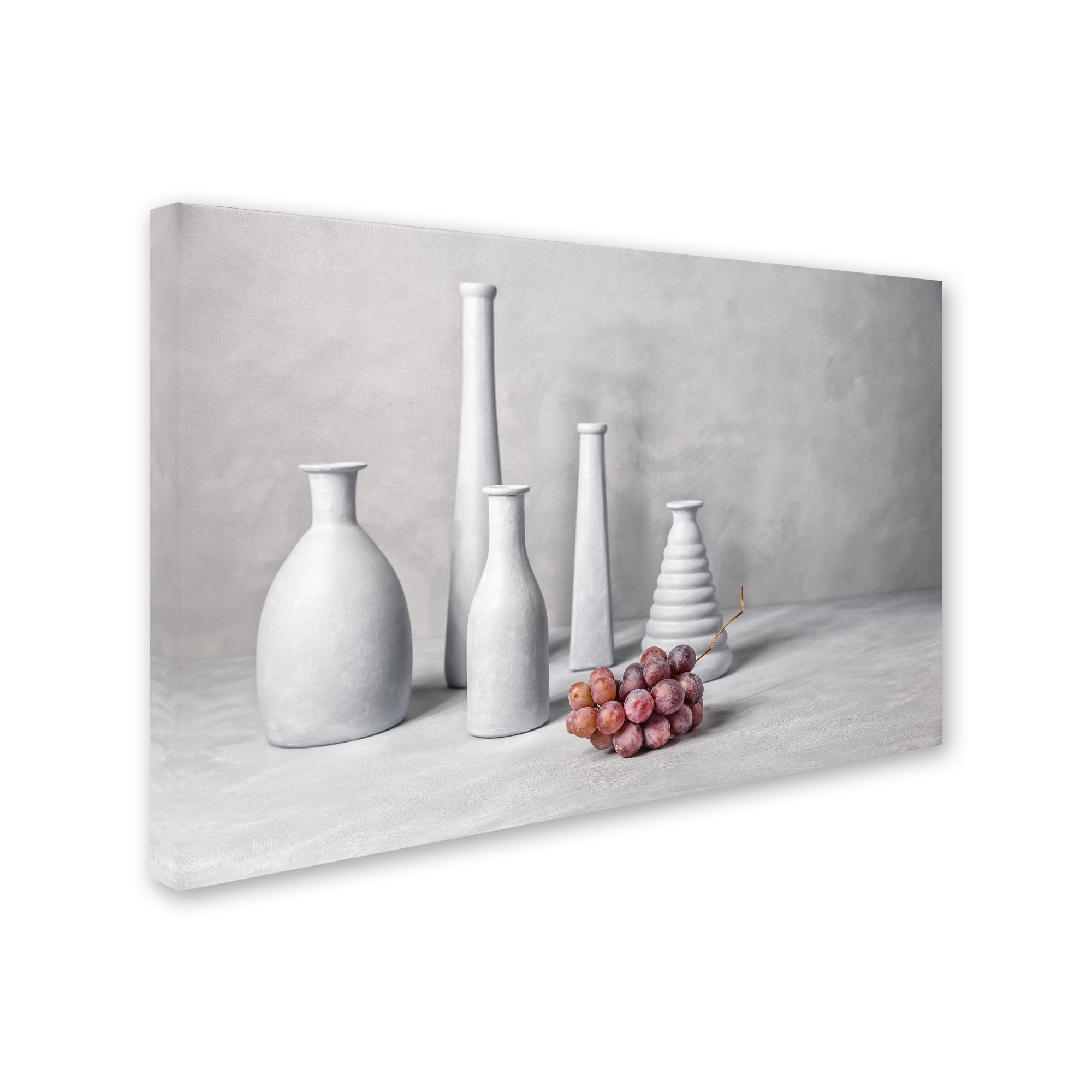 Trademark Fine Art 'Grapes' Canvas Art by Christophe Verot