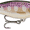 Purpledescent, variant on Rapala Shad Rap 05 Crankbait Fishing Lure 2" 3/16 oz Purpledescent