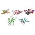 thumbnail image 3 of Jig Heads, 50PCS Jigs de pesca en hielo Jigs de pesca en hielo Ganchos de cabeza de jig optimizados para la excelencia, 3 of 8