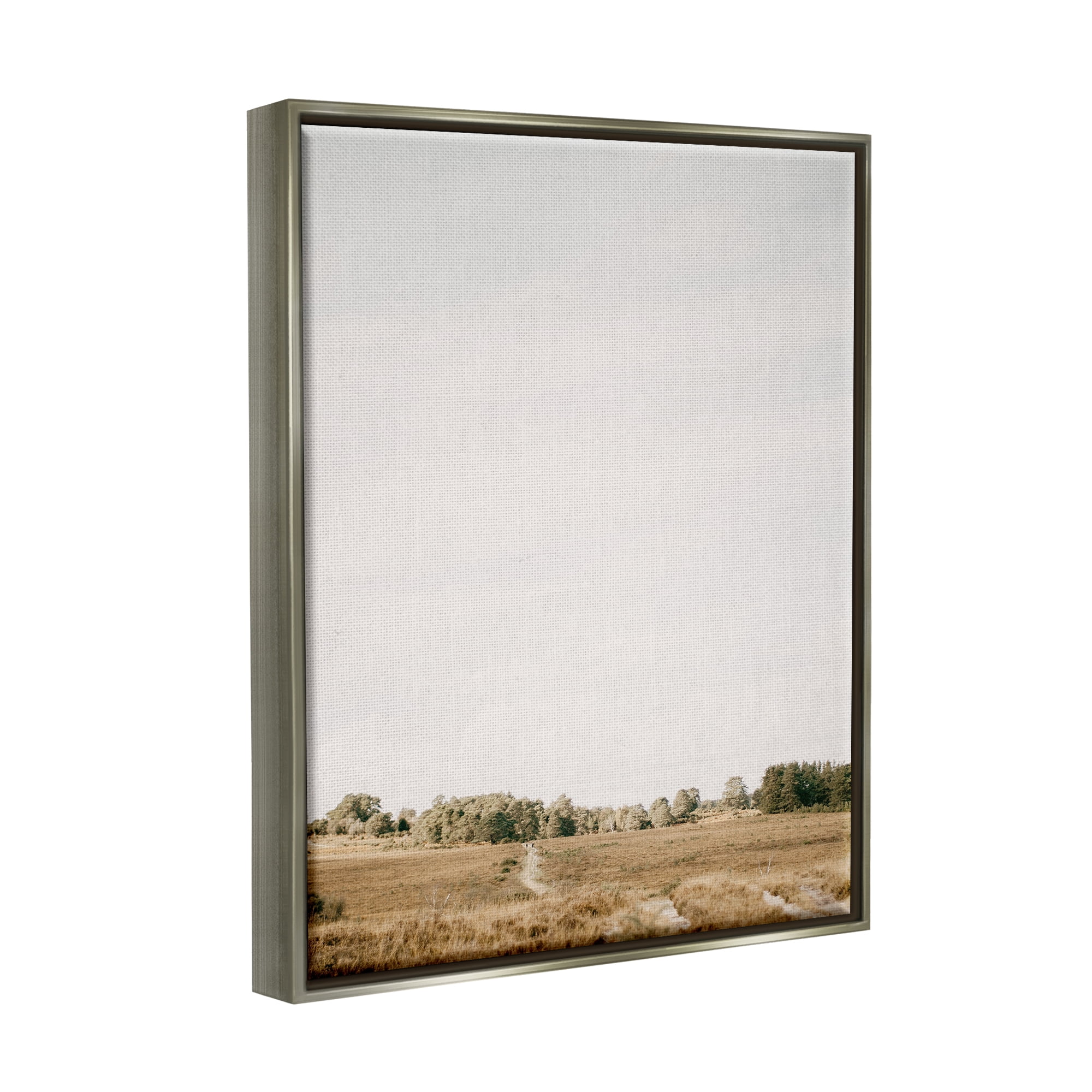 Stupell Industries Country Sky Photography Landscape Photography Gray Floater Framed Canvas Art Print Wall Art, 25 x 31