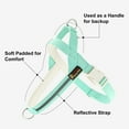 thumbnail image 3 of Plutus Pet Cotton Dog Harness and Leash Set, Reflective and Soft Padded, Light Cyan, M, 3 of 8