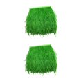 thumbnail image 1 of Ounissouiy Adorno de flecos de plumas de avestruz, decoración para manualidades y costura, 9-15cm, verde Verde 2Conjunto, 1 of 6
