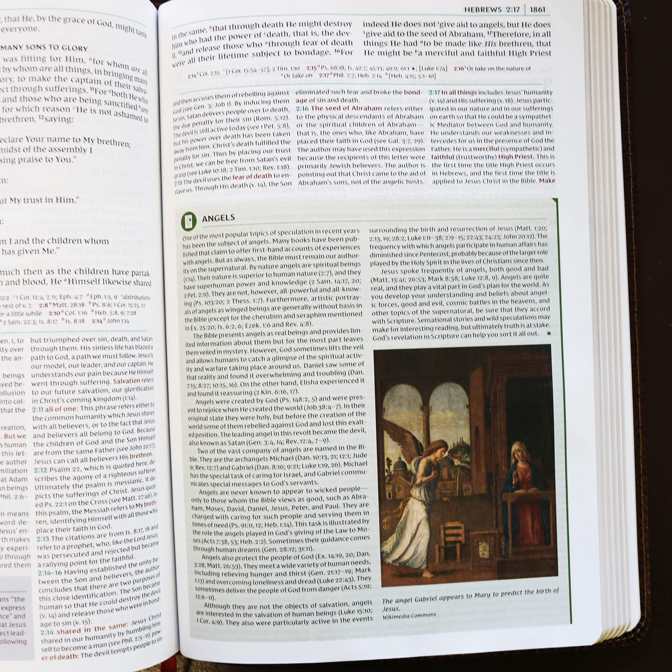 NKJV Study Bible, Leathersoft, Brown, Full-Color, Comfort Print: The Complete Resource for Studying God's Word, (Hardcover)