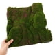thumbnail image 3 of WORGEOUS Césped Artificial, musgo falso, adorno artesanal, jardín, patio, decoración de césped con musgo DIY, 3 of 8