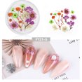 thumbnail image 1 of Xihbxyly Kit de Decoración de Uñas, Diseño de Encaje 3D con Flores Secas, Polvo Brillante para Un Brillo Colorido, Pegatinas de Otoño para Decoración Fácil, Arte En Casa, Solución de Manicura Elegant, 1 of 3