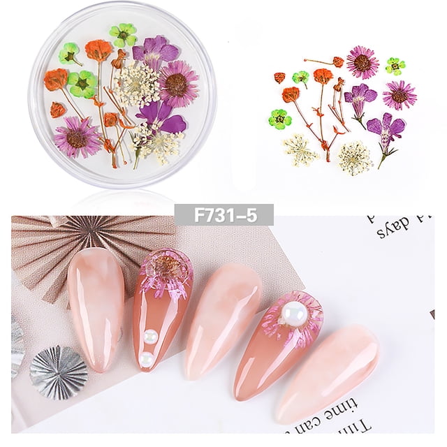 Xihbxyly Kit de Decoración de Uñas, Diseño de Encaje 3D con Flores Secas, Polvo Brillante para Un Brillo Colorido, Pegatinas de Otoño para Decoración Fácil, Arte En Casa, Solución de Manicura Elegant