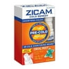 Zicam Cold Remedy Pre Cold Medicine Oral Mist, Arctic Mint - 1 Oz