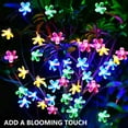 thumbnail image 6 of TiokMc Solar-Powered Fairy Blossom Flower String Lights, 22.96ft 50 LED, Multi-Color, Outdoor Garden, Patio, Lawn, Christmas Decoration - 2 Pack, 6 of 8