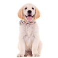 thumbnail image 4 of Personalized Dog Collars With Bow Tie Cotton Girls Dog Collar With Metal Buckle Adjustable Puppy Collars For Adjustable Sizes Small Medium Large Dog As Pet Gift, 4 of 6