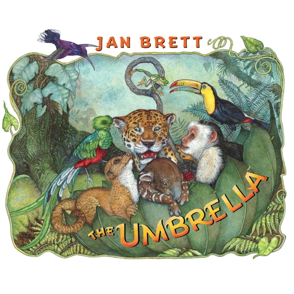 Pre-Owned The Umbrella (Hardcover) 0399242155 9780399242151