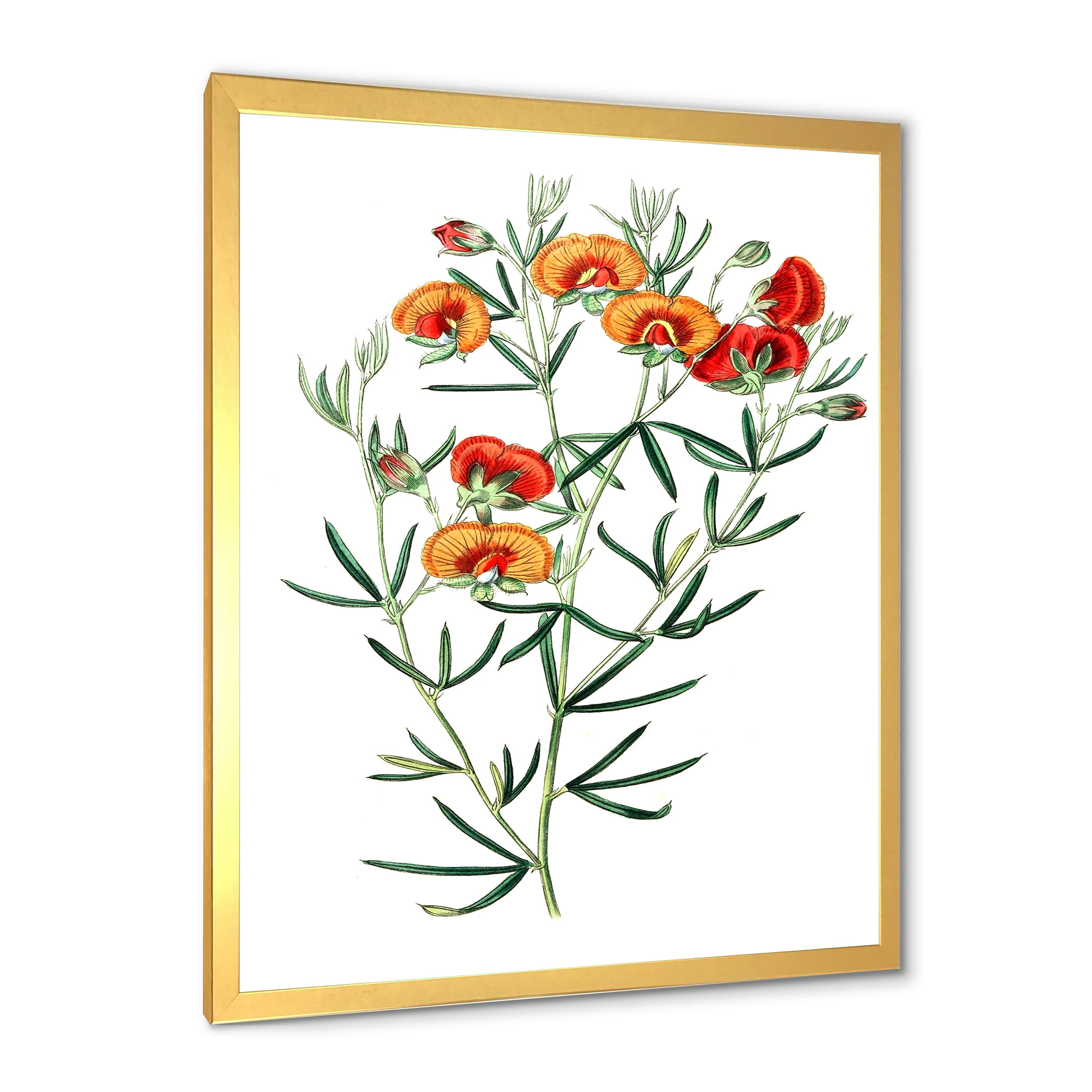 Designart 'Ancient American Flora VIII' Traditional Framed Art Print