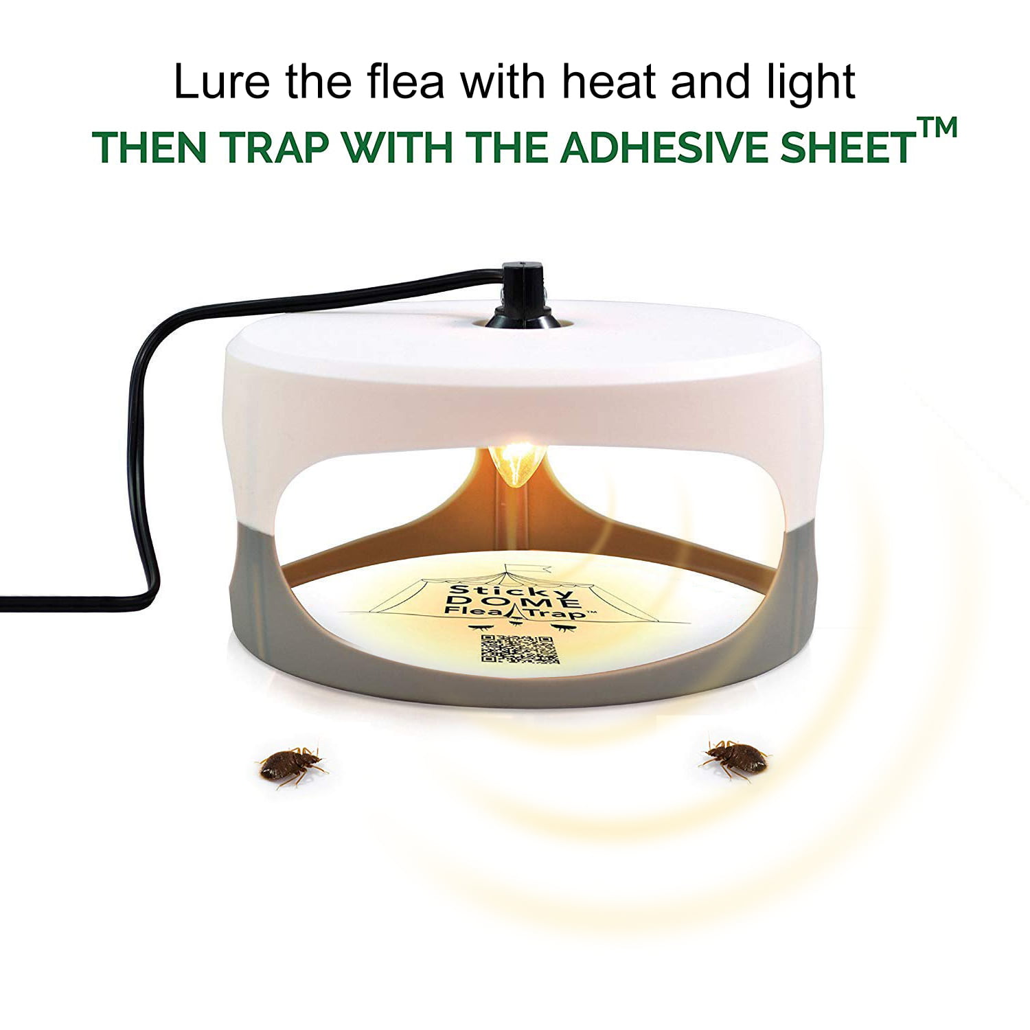 Details about   Electric Flea Trap Killer Home Pest Control Sticky Discs Spare Lamp Non-toxic