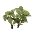 thumbnail image 4 of Acuario Tortuga Ranas Selva Hábitat Adorno de planta artificial 1 Gloria Reptil Vivarium Rattan Vine, 4 of 9