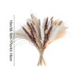thumbnail image 3 of Dried Pampas Grass Decor Set – Faux Bunny Tails and Pampas Grass Bundle for Boho Home Table Wedding Farmhouse Party Decoration, 3 of 6