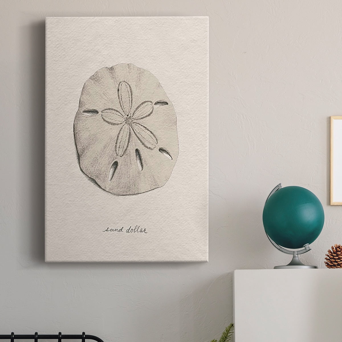 Shore Treasure Study III Premium Gallery Wrapped Canvas - Ready to Hang