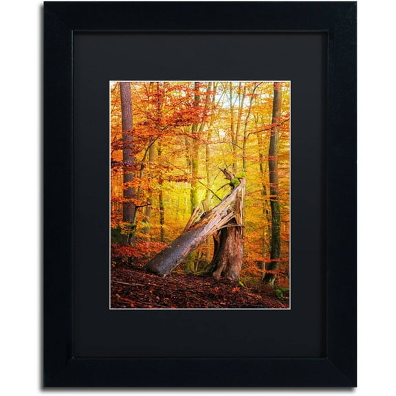 Trademark Fine Art "Broken Career" Canvas Art by Philippe Sainte-Laudy Black Matte, Black Frame