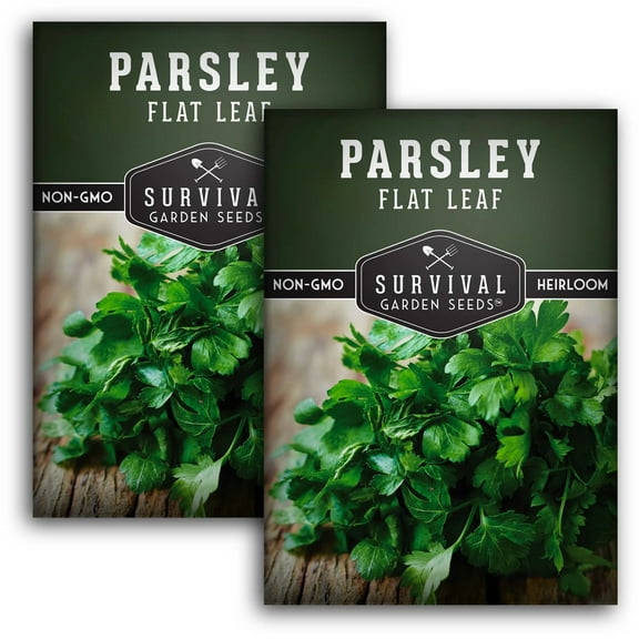 2 Packs Flat Leaf Italian Parsley Seeds - Non-GMO Heirloom Full Sun Biennial Herb