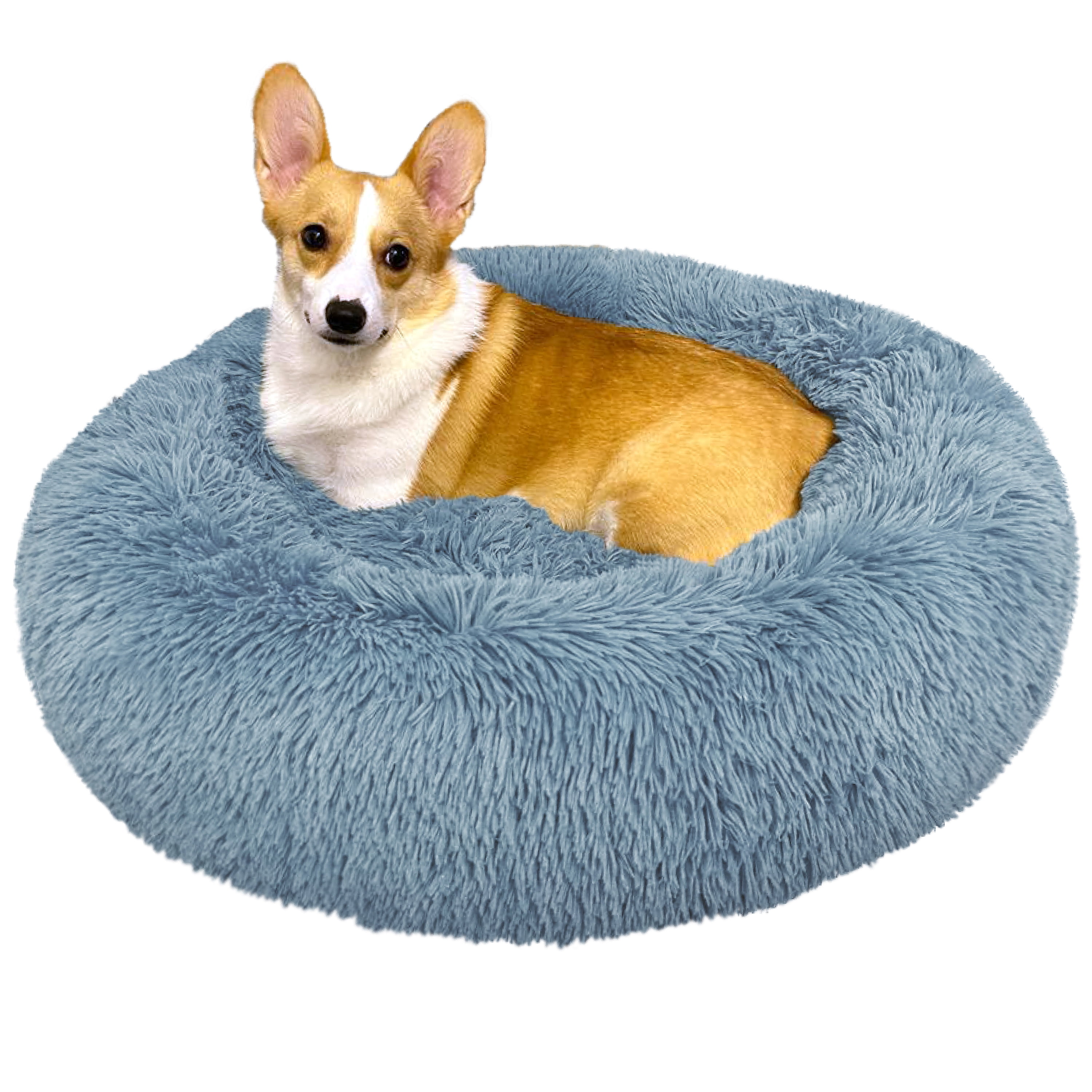  Primetime Petz Pet Lounge, Raised Indoor Pet Bed for Cats or  Small Dogs, Reversible Fabric Hammock : Everything Else
