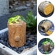 thumbnail image 1 of Fiudx Caja para Llaves con Forma de Erizo, Llavero Decorativo de Resina, Resistente Al Agua y Al Polvo, Ideal para Jardín, Almacenamiento Práctico para Exteriores, Ideal para El Hogar y El Jardín, co, 1 of 7