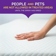 Hot Shot Bed Bug Killer Spray, Kills Bed Bugs and Eggs Indoors, 1 Gallon