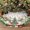 Beige, variant on 36 Inch Christmas Tree Skirt, Snowman Trees Mat for Merry Christmas Halloween Indoor Home Holiday Party Decorations