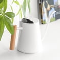 thumbnail image 1 of 1L Indoor Water Kettle Small Potted Plants Stainless Steel Water Kettle, 1 of 4