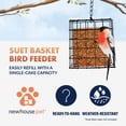 thumbnail image 4 of Newhouse Pet Single Cake Suet Basket Bird Feeder NHP-SUET-BLK, Small Hanging Bird Feeder for Outdoors, Suet Cake Holder for Jays, Woodpeckers, Chickadees, Wrens, and Other Birds, 4 of 8