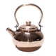 thumbnail image 3 of Hervidor de Agua, Tetera con Infusor de Té, Utensilios Resistentes, Mini Tetera Hecha a Mano Versátil, 3 of 9