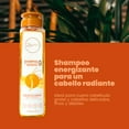 thumbnail image 5 of Anyeluz Shampoo con Ginseng Y Anyeluz Acondicionador con Ginseng (2 Pack), 5 of 7
