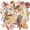 Various, variant on Mixed Natural Beach Seashells, 9 Shell Varieties 1.2"-3.5" + 2 Types Starfish, Decorative Sea Shells for DIY Crafts, Beach Wedding Decor, Aquarium & Vase Fillers