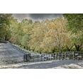 thumbnail image 2 of Jones, Adam 14x11 White Modern Wood Framed Museum Art Print Titled - Light snow on trees in early spring-Louisville-Kentucky, 2 of 4
