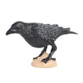 thumbnail image 3 of yuksok 2X Miniature Parrot Educational Realistic Raven Bird Figurines Party Decoration, 3 of 9