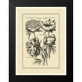 thumbnail image 2 of Besler, Basilius 19x24 Black Modern Framed Museum Art Print Titled - Vintage Besler II, 2 of 5