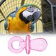 thumbnail image 2 of Bird Nipple, 50PCS Bird Parrot Supplies Plastic Colorful Nipple Bite Juguete para Masticar DIY Accesorios Set., 2 of 5