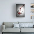 thumbnail image 2 of Jesus M. Garcia 'Copa Grana' Canvas Art, 2 of 4