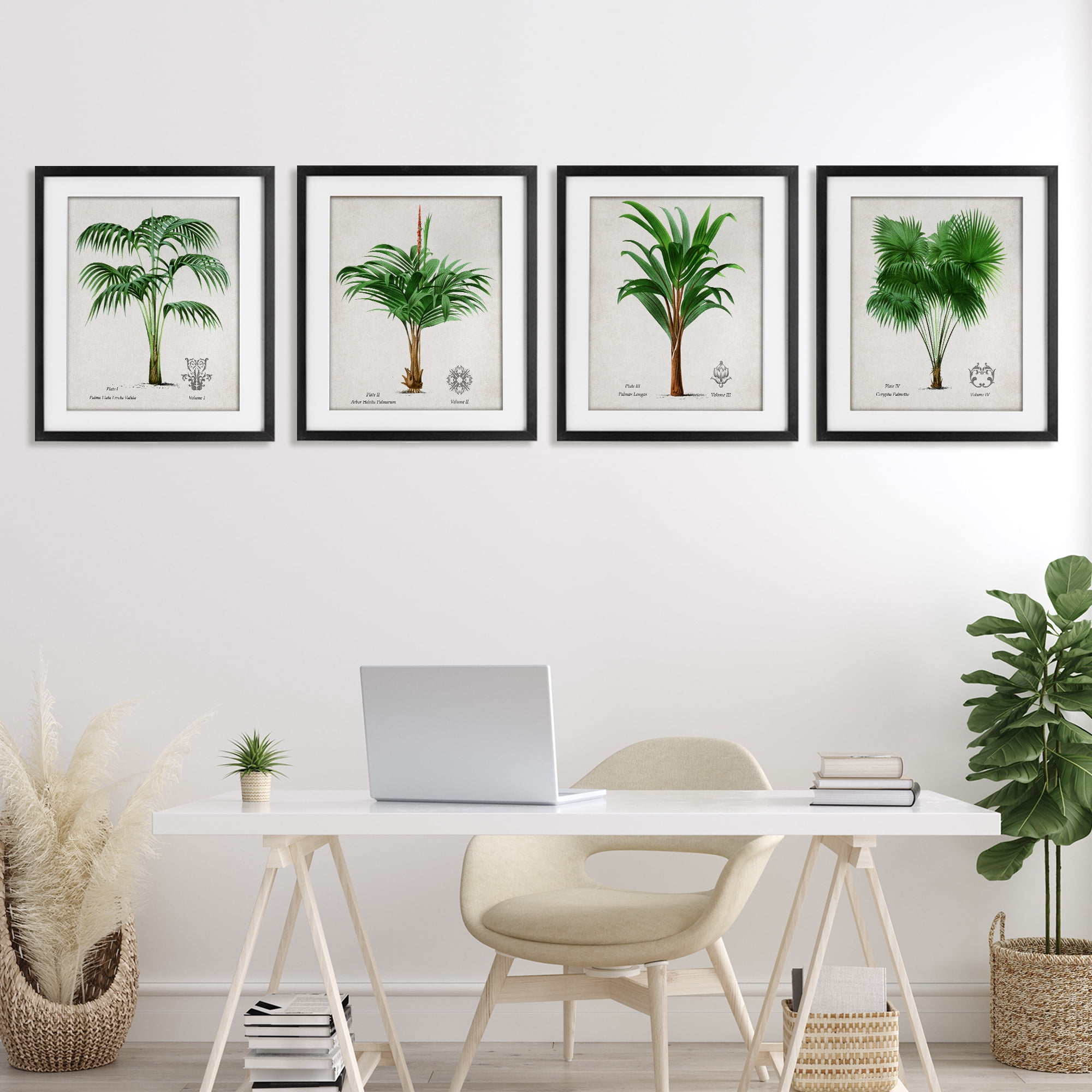 Stupell Industries Palm Varieties Studies 4 Piece Black Framed Print Under Glass Set, design by Natalie Carpentieri