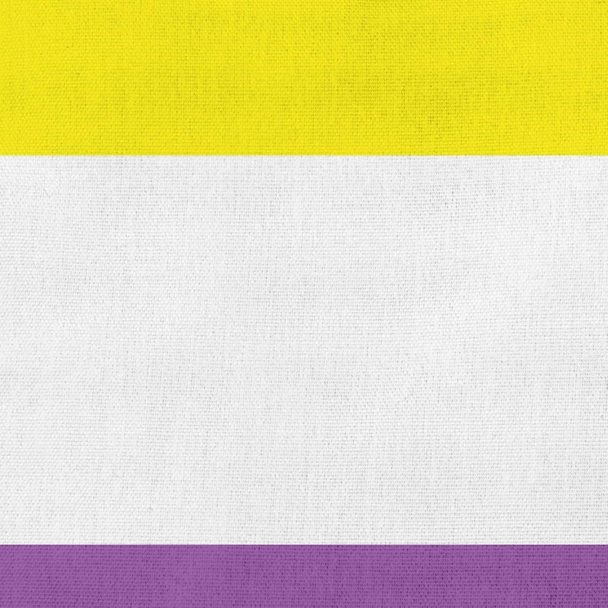 Simply Daisy 26 inch Non-Binary Flag Decorative Throw Pillow