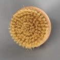 thumbnail image 2 of Exfoliating Bamboo and Wooden Dry Body Brush, 2 of 2