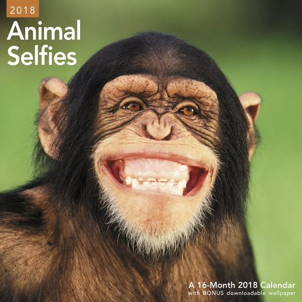 Mead Animal Selfies Wall Calendar Wall Calendars